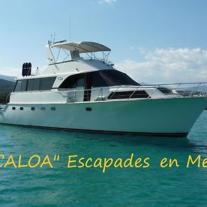 Les Yachts de Porto Vecchio - Le Caloa