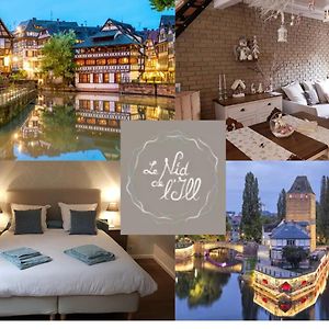 LE NID DE L'ILL, Magnifique Duplex Cosy Petite France