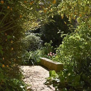 Jardin Secret