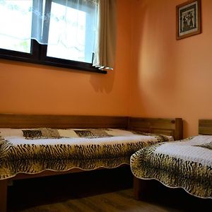 Apartamenty Argo