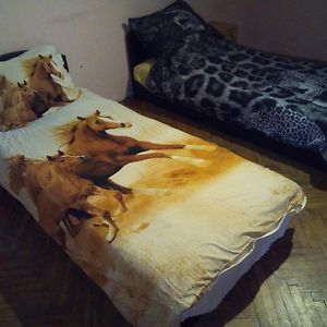 Dormitory Room Mixed