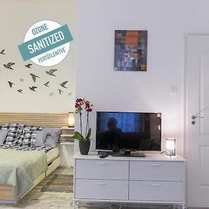 Appartement Rez-de-Chaussée