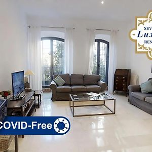 Appartement de Luxe