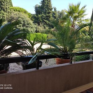 Residence Les Palmiers