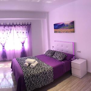 Appartement Supérieur