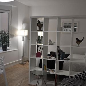 Studio Lit Queen-Size