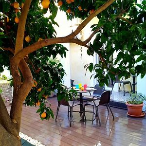 Sunny Orange Garden Apartment In Central Lisbon