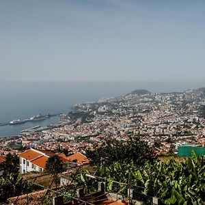 City View Gardens I