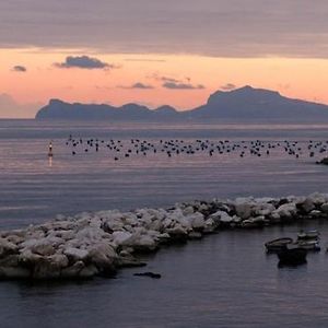 Terrazze Del Lungomare