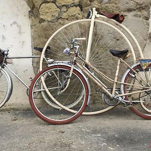 Tour de France historique et châteaux de Loire
