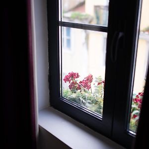 Appartement Supérieur à 1 Chambre à Coucher