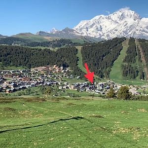MAGNIFIQUE APPARTEMENT PLEIN SUD AUX SAISIES n3