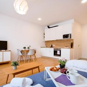 Residential Barona Apartments In Riga Centre