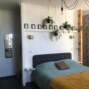 La loge 45 AU COEUR DU CENTRE HISTORIQUE DE RODEZ