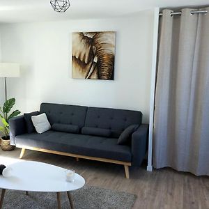 Magnifique appartement lumineux