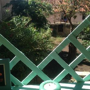 Grand LOFT 73m2 Renové Centre Ville vue jardin 8 couchages