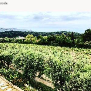 Studio dans les vignes de cassis