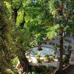 Patio Andaluz Siglo XVI