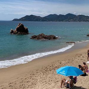 Le Palm Azur