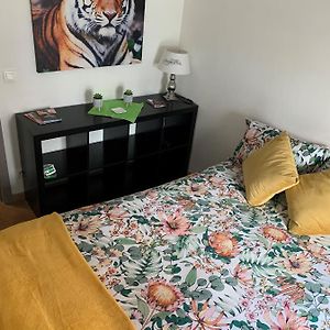 Appartement de Luxe