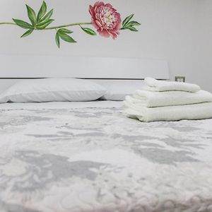Maison 1 Chambre