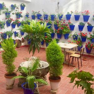 Apartamento Toril-Casco Historico