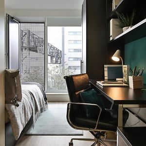 Studio Lit King-Size