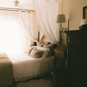 Bright Apartment In The City Center