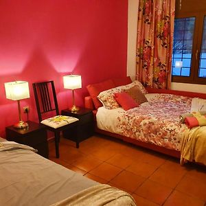 Chambre Standarde