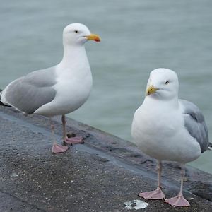 Le Galet