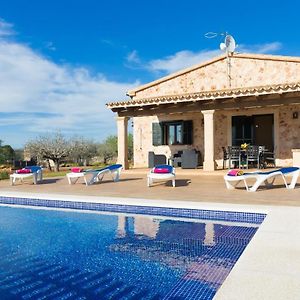 Finca Son Rossignol, Sineu 155