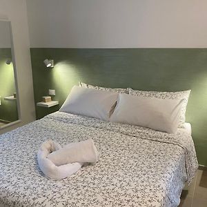 Studio Lit King-Size