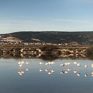 Flamants Roses 1 Pers 6