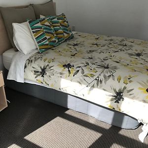 Auckland City Coby Suite