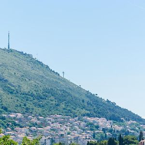 Apartments Grga