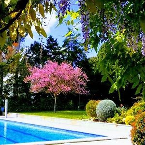Apartamentos Stil Mar Anna - Stil Mar Anna L'Escala 4