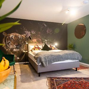 Appartement Studio de Luxe