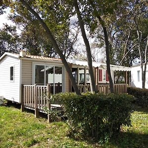 Mobile Home