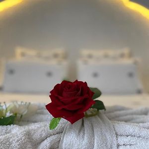 Chambre Standarde Lit Queen-Size