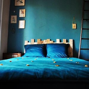 Studio Lit King-Size