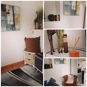Studio Lit Queen-Size
