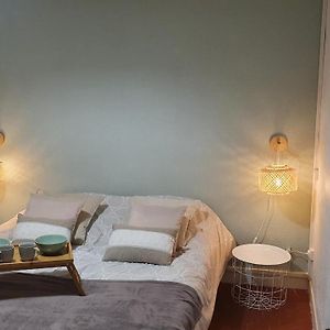 T2 Cosy Au Calme,Entree Autonome,Centre Historique