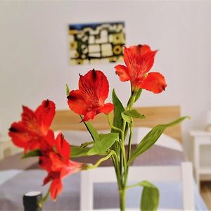 Appartement Studio