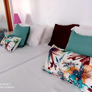 Seashell Apartment Oura