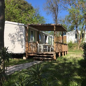 Mobile Home
