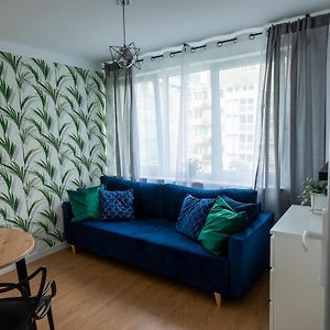Apartament Iga