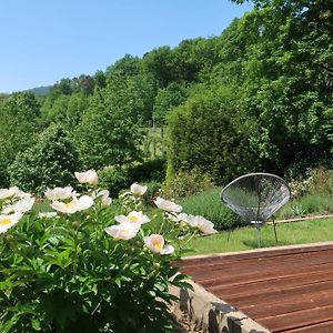 Apartment Im Rosentraum Mit Privater Terasse