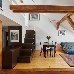 Prague Days - Sunlit Attic Loft In Vinohrady