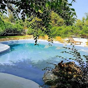 Salvacintoggio -Votre Villa avec Piscine Privée-