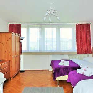 Studio Lit King-Size